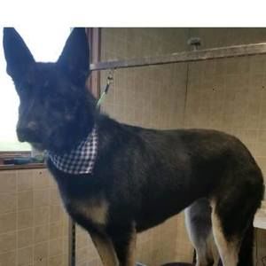 Meet your Posher, Nancy